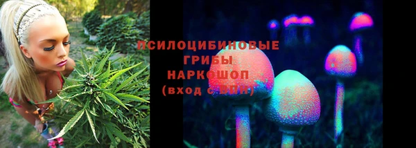 гидра Бронницы