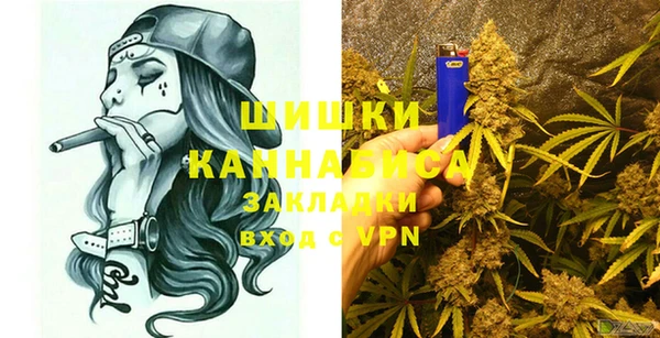 стаф Кулебаки