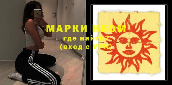 стаф Кулебаки