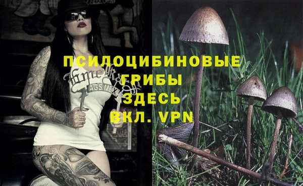 таблы Нязепетровск