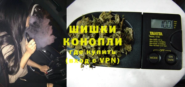 стаф Кулебаки