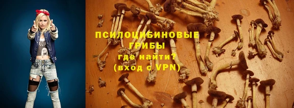 стаф Кулебаки