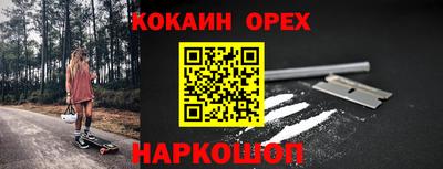 индика Гусев