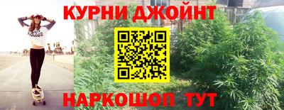 индика Гусев