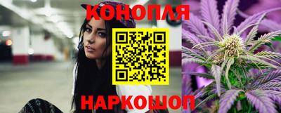 индика Гусев