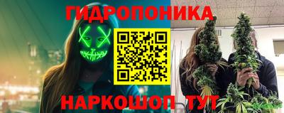 скорость Будённовск