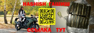 индика Гусев
