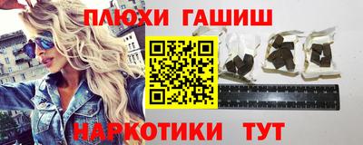 индика Гусев